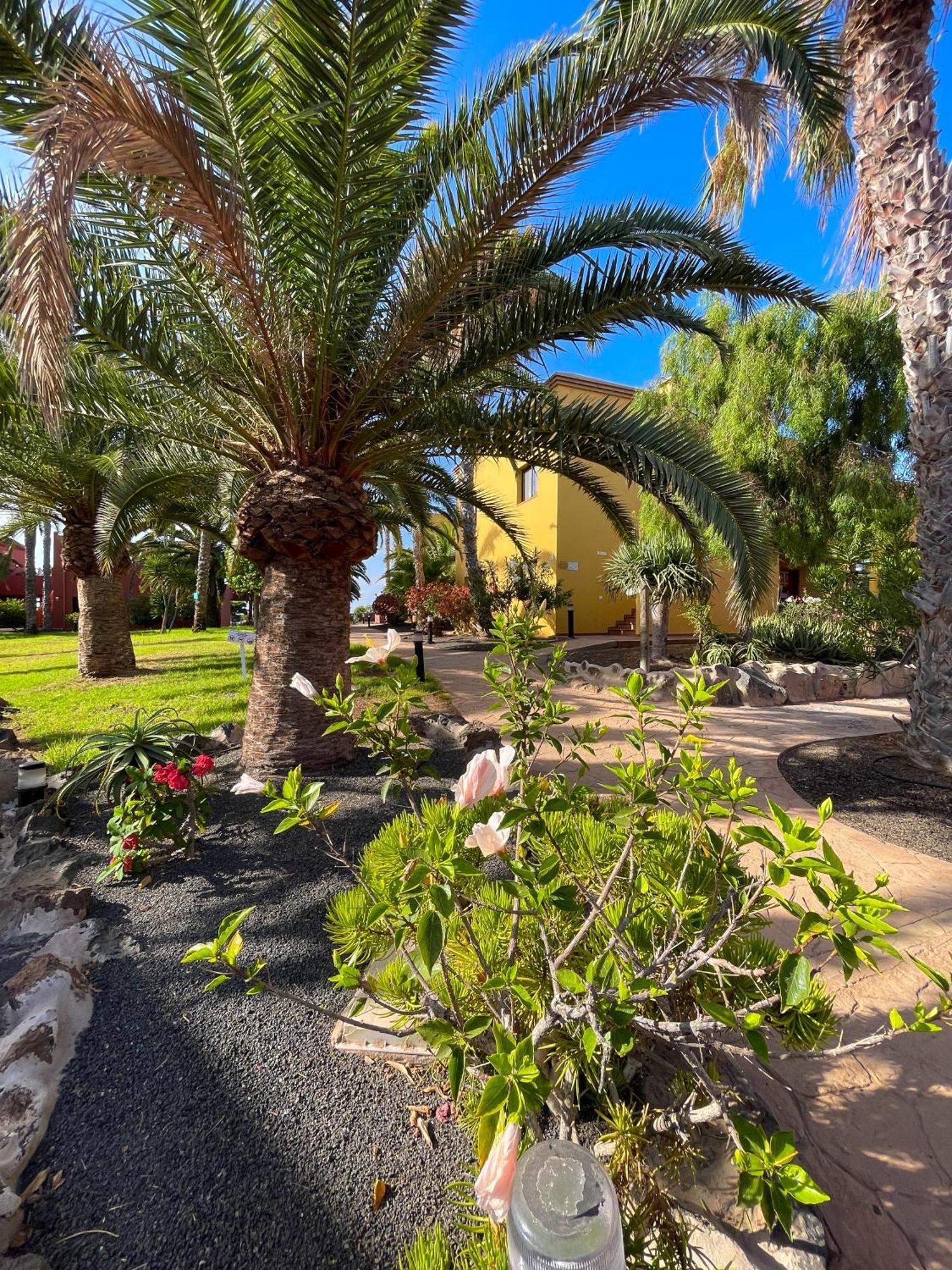 Karol Home By Best Holidays Fuerteventura Corralejo Exterior foto